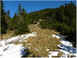 Mače - Planina Dolga njiva